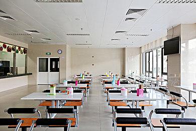 90后美术生辞职做的像素种田游戏 现能Steam免费玩