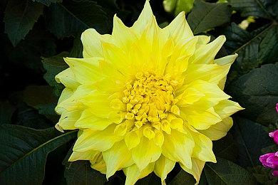 Epic喜加一：《Unrailed!》免费领